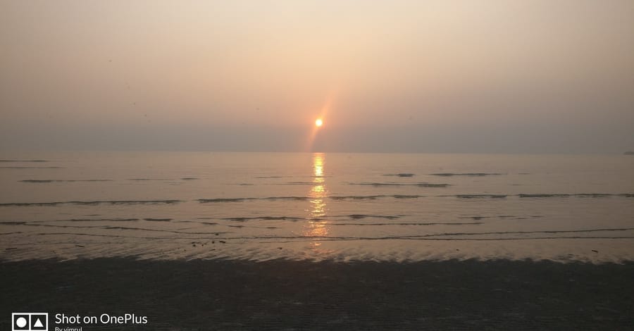 318নিঝুমদ্বীপ