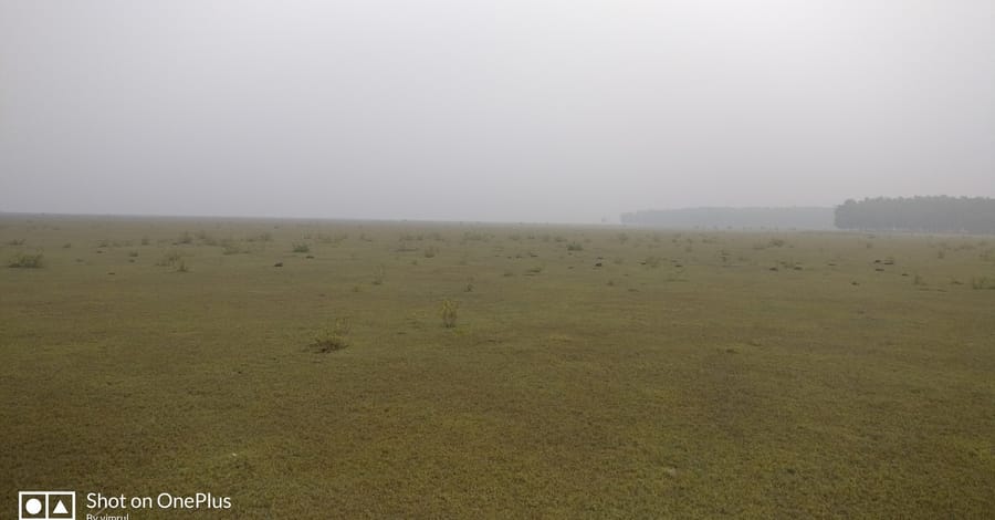 551নিঝুমদ্বীপ