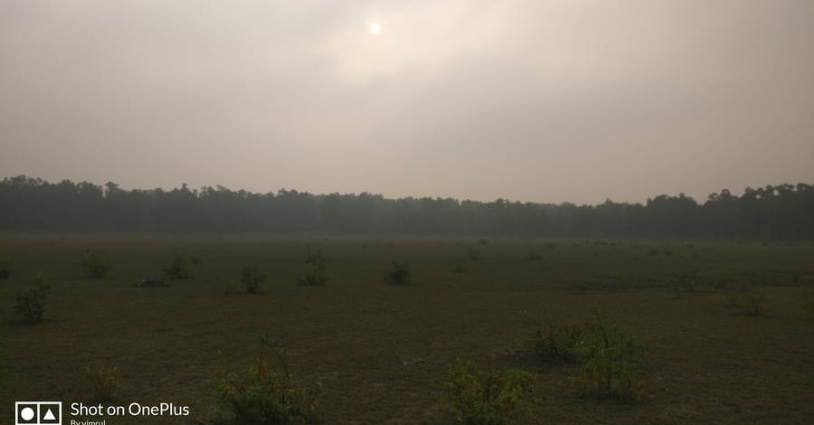 567নিঝুমদ্বীপ