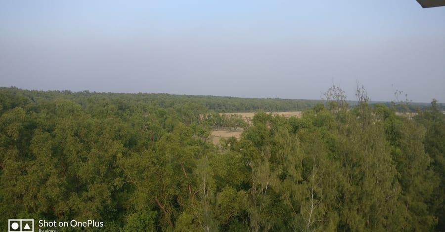 689নিঝুমদ্বীপ