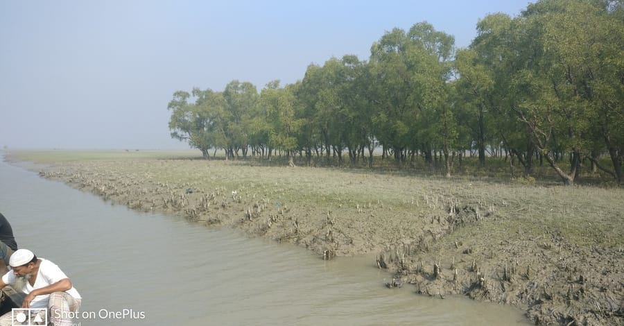 991নিঝুমদ্বীপ