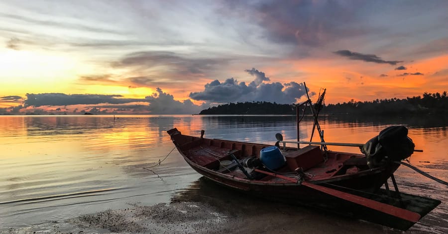 যাযাবর