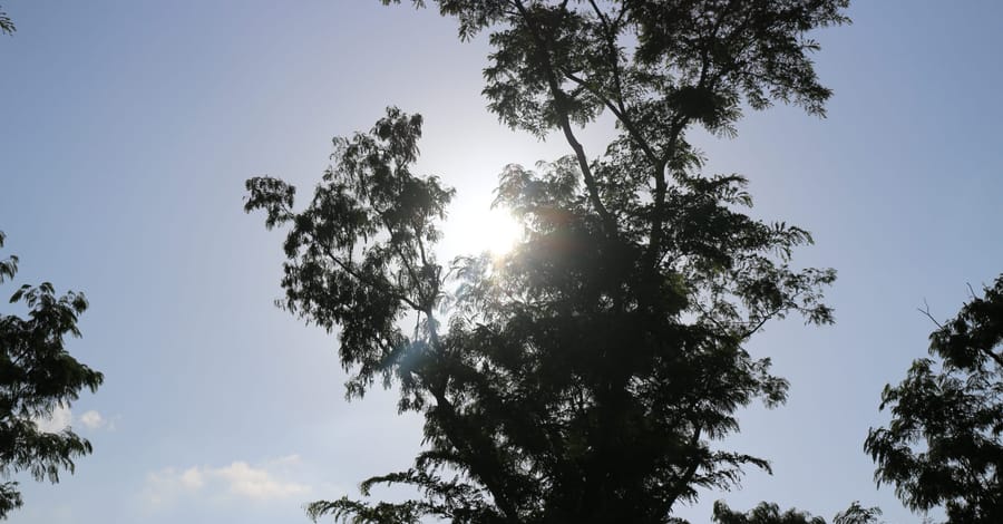 Srimangal-chittagong-patenga-69